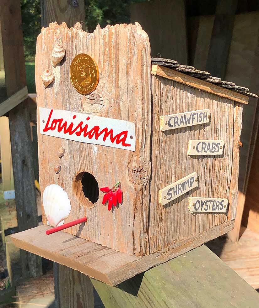 Louisiana Themed Bird House